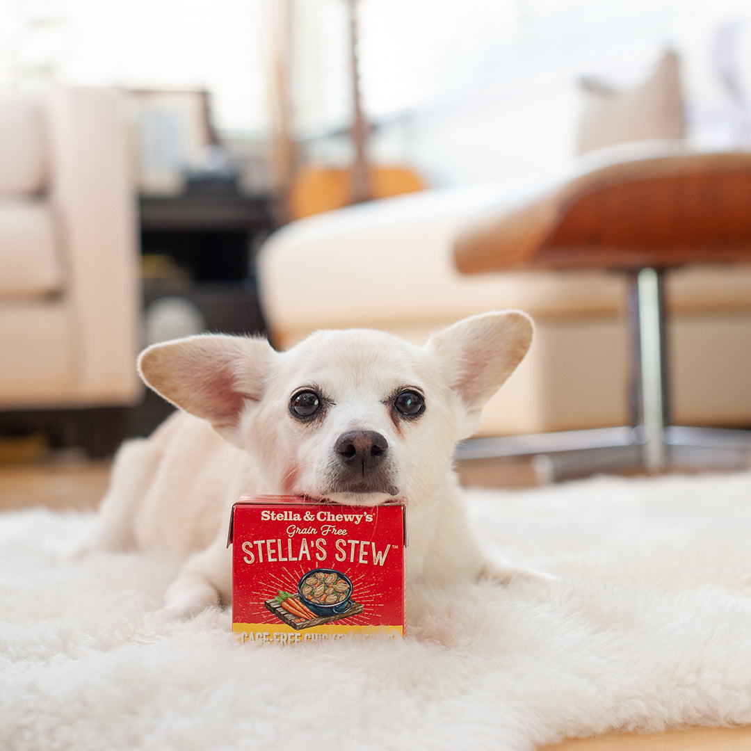 Stella & Chewy's Stew - Cage-Free Chicken Recipe