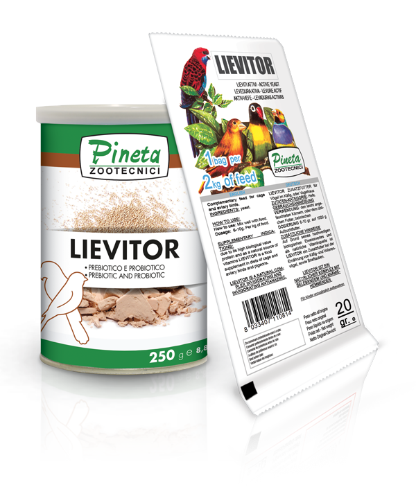 Pineta Lievitor