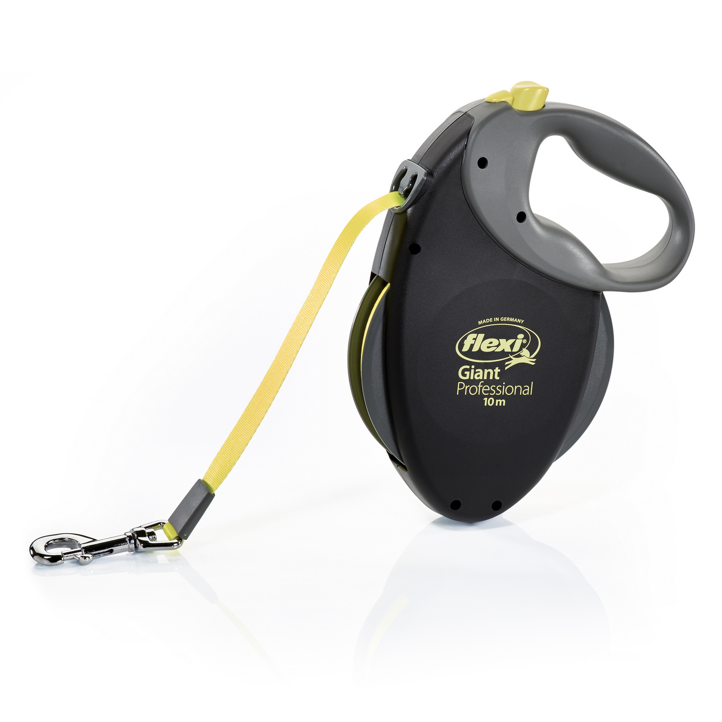 Flexi Dog Leash