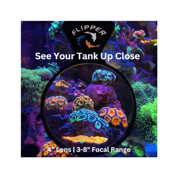 Flipper Deepsee Magnified Magnetic Aquarium Viewer 4″