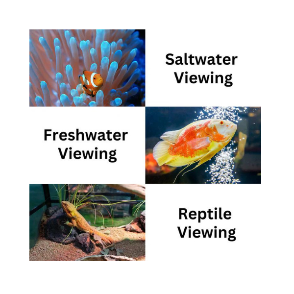 Flipper Deepsee Max Magnified Aquarium Viewer 5″