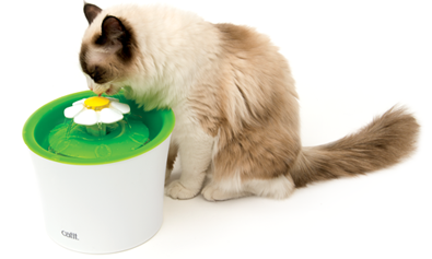 Catit pet Products