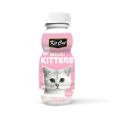 Kit Cat Pet Products