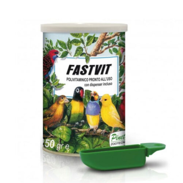 Pineta FastVit