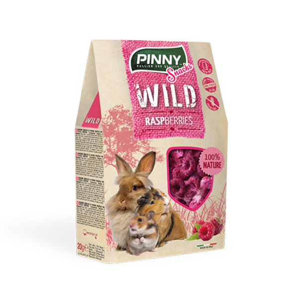 Pinny Wild Snack Raspberries (20g)