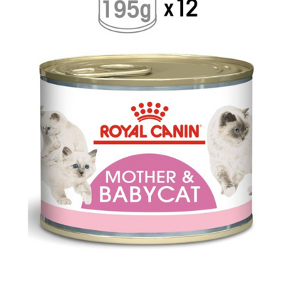 Royal Canin  Feline Health Nutrition Mother & Babycat Mousse (WET FOOD - Cans) 12 x 195g