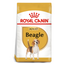 Royal Canin Breed Health Nutrition Beagle Adult 3 KG