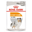 Royal Canin  Canine Care Nutrition Coat Care (WET FOOD - Pouches) 12 x 85g