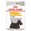 Royal Canin  Canine Care Nutrition Dermacomfort (WET FOOD - Pouches) 12 x 85g