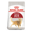 Royal Canin Feline Health Nutrition Fit 32