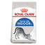 Royal Canin Feline Health Nutrition Indoor