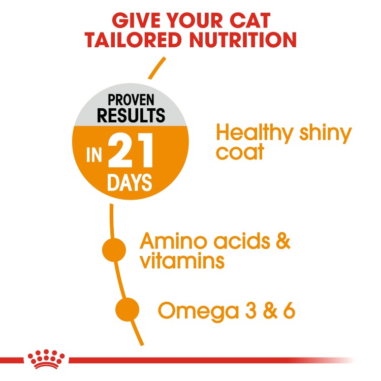 Royal Canin Feline Care Nutrition Hair & Skin