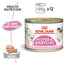 Royal Canin  Feline Health Nutrition Mother & Babycat Mousse (WET FOOD - Cans) 12 x 195g