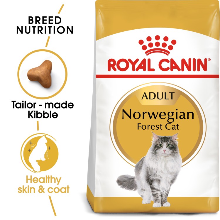 Royal Canin  Feline Breed Nutrition Norwegian Forest Cat Adult 2 KG