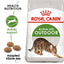 Royal Canin  Feline Health Nutrition Outdoor 2 KG