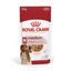 Royal Canin  Size Health Nutrition Medium Adult (WET FOOD - Pouches) 10 x 140g