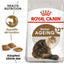 Royal Canin  Feline Health Nutrition Ageing 12+ Years 2 KG