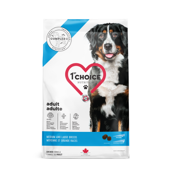 1st Choice Adult - Medium & large breeds - Chicken formula