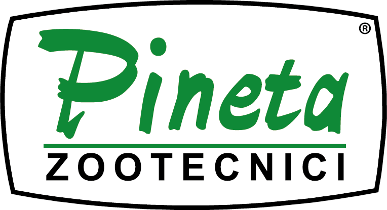 Pineta