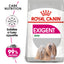 Royal Canin Adult Dog Food