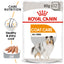 Royal Canin Dog Wet Food