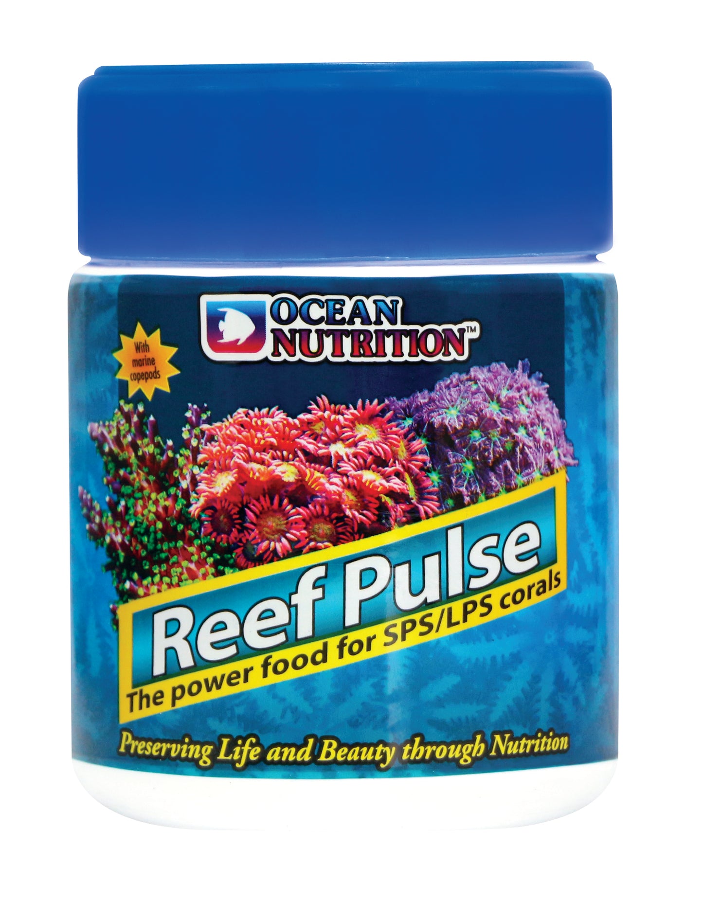 Reef Pulse