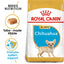 Royal Canin Adult Dog Food