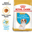 Royal Canin Adult Dog Food