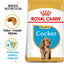 Royal Canin Adult Dog Food