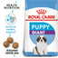 Royal Canin Adult Dog Food